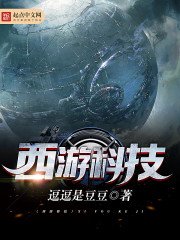 《西游科技》