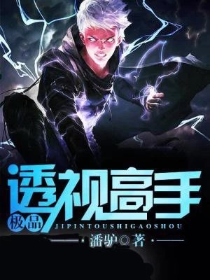 《极品透视高手》