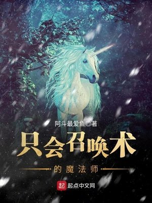 《只会召唤术的魔法师》