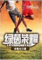 《虑茵荣耀》