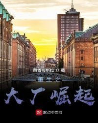 《重生之大厂崛起》