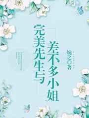 《完美先生与差不多小姐》
