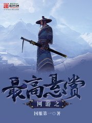《网游之最高悬赏》