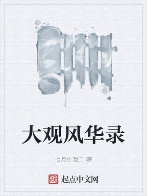 《大观风华录》