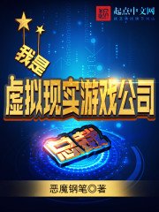 《我是虚拟现实游戏公司总裁》