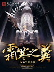 《霜寒之翼》