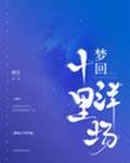 《梦回十里洋场》