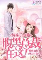 《纯妹子别跑:腹黑总裁在这!》