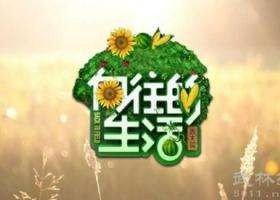 《(BG/向往的生活同人)向往的生活同人》