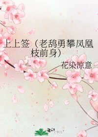 《上上签(老鸹勇攀凤凰枝前身)》