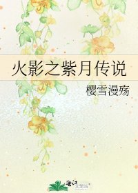 《火影之紫月传说》