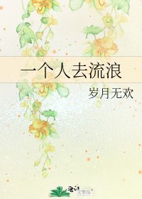 《一个人去流浪》