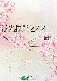 《浮光掠影之Z·Z》