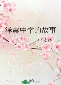 《泽震中学的故事》