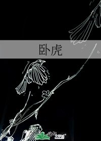 《卧虎》