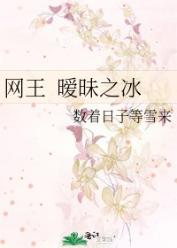 《网王 暧昧之冰》