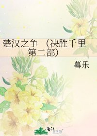 《楚汉之争 (决胜千里 第二部)》