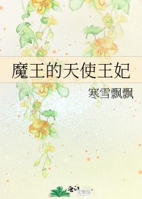 《魔王的天使王妃》
