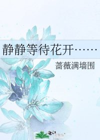 《静静等待花开……》
