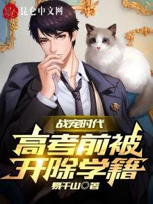 《战宠时代:高考前被开除学籍》