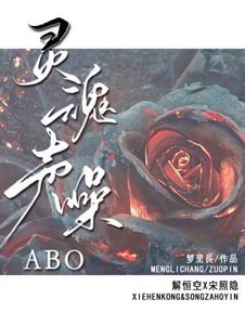 《灵魂声噪》