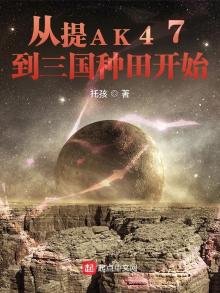 《从提AK47到三国种田开始》