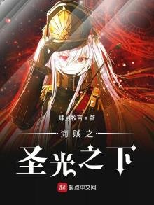 《海贼之圣光之下》