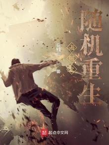 《海贼之随机重生》