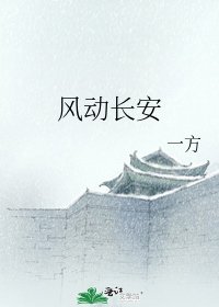 《风动长安》