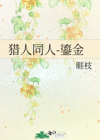 《猎人同人-鎏金》