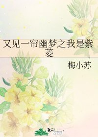 《又见一帘幽梦之我是紫菱》