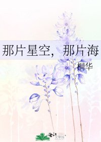 《那片星空,那片海》