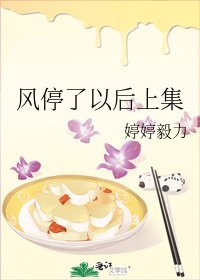 《风停了以后上集》