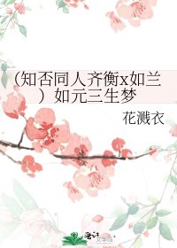 《(知否同人齐衡x如兰)如元三生梦》