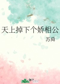 《天上掉下个娇相公》