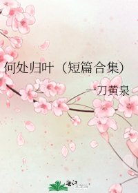 《何处归叶(短篇合集)》
