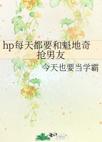 《hp每天都要和魁地奇抢男友》