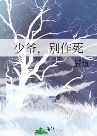 《少爷,别作死》