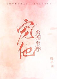 《宠他至苏至野》