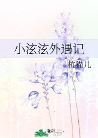 《小泫泫外遇记》