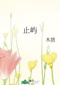 止屿