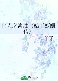 《同人之酱油(始于甄嬛传)》