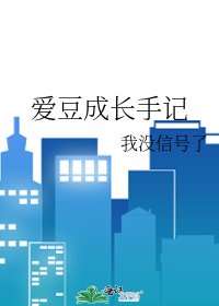 《爱豆成长手记》