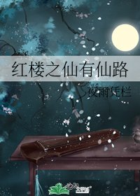 《红楼之仙有仙路》