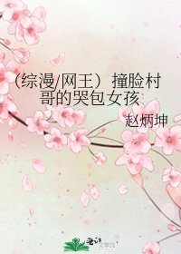 《(综漫/网王)撞脸村哥的哭包女孩》