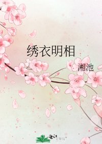 《绣衣明相》