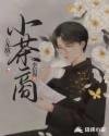 《无敌小茶商》