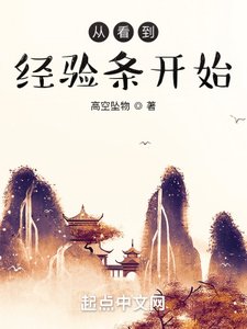 《从看到经验条开始》