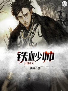 《民国之铁血少帅》