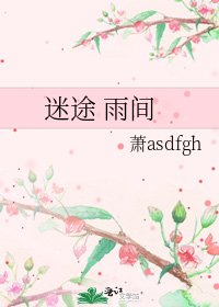迷途 雨间